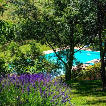 Salvagnac-cajarc Sleeps 16 Pool Wifi
